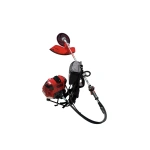 ABUSTRALYA MALI ARCHER 3.1 HP BG620 OT MPTORU SIRT TİP - Görsel 3